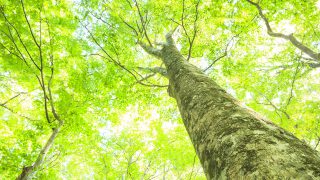 サイトをリニューアルしました！